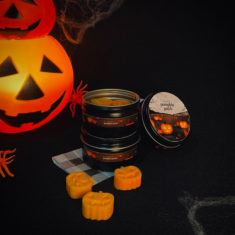 Wax Melt Pumpkin Patch – 36g