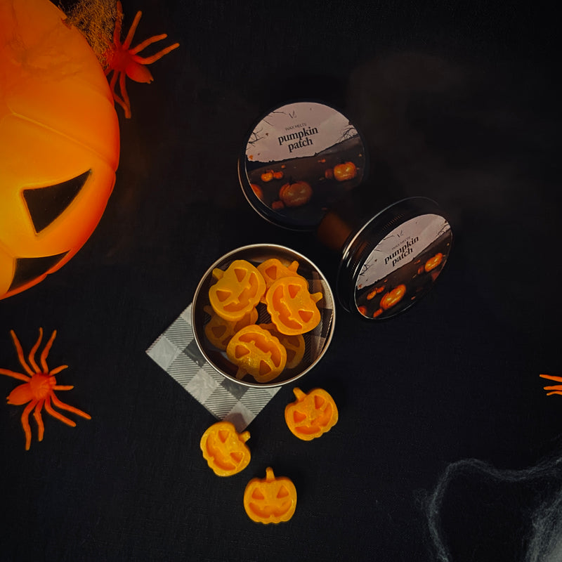 Wax Melt Pumpkin Patch – 36g